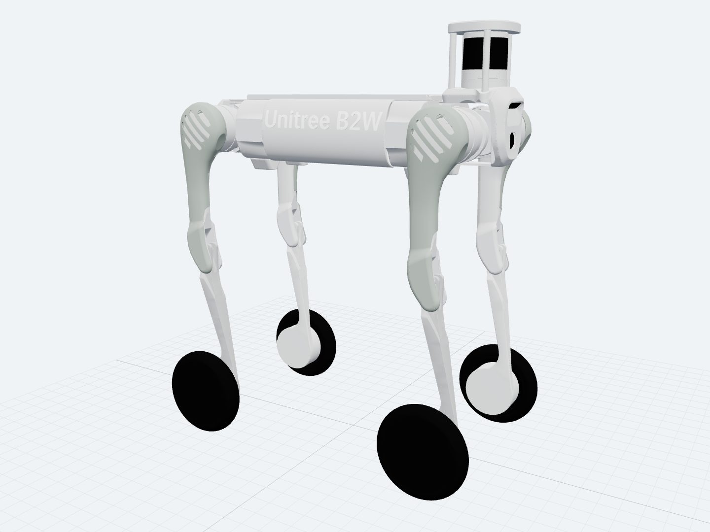 Unitree B2-W assembled from its official URDF: the B2 quadruped with a powered wheel at the end of each leg instead of a foot.